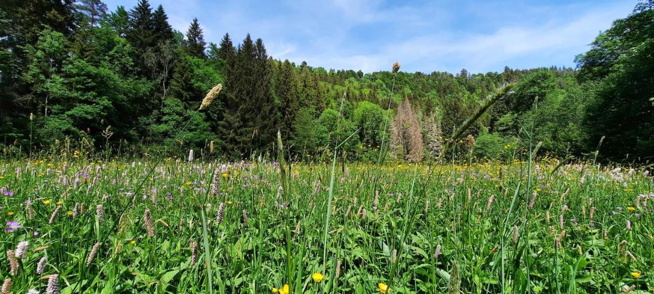 Ferienwohnung Seelust Schluchsee Bagian luar foto