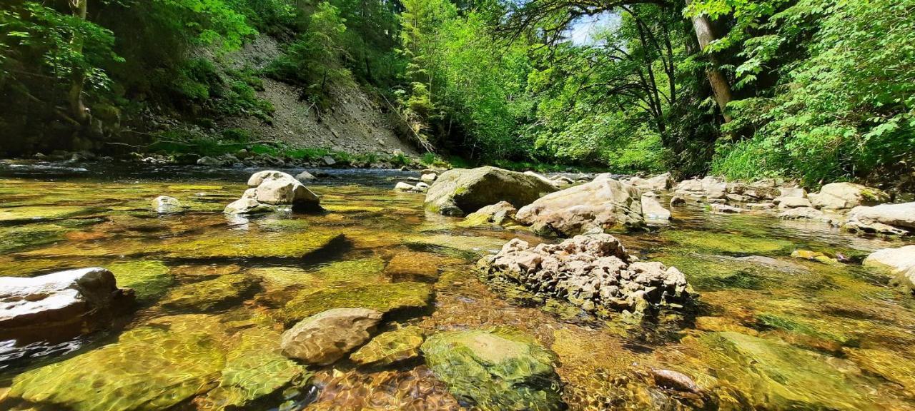 Ferienwohnung Seelust Schluchsee Bagian luar foto