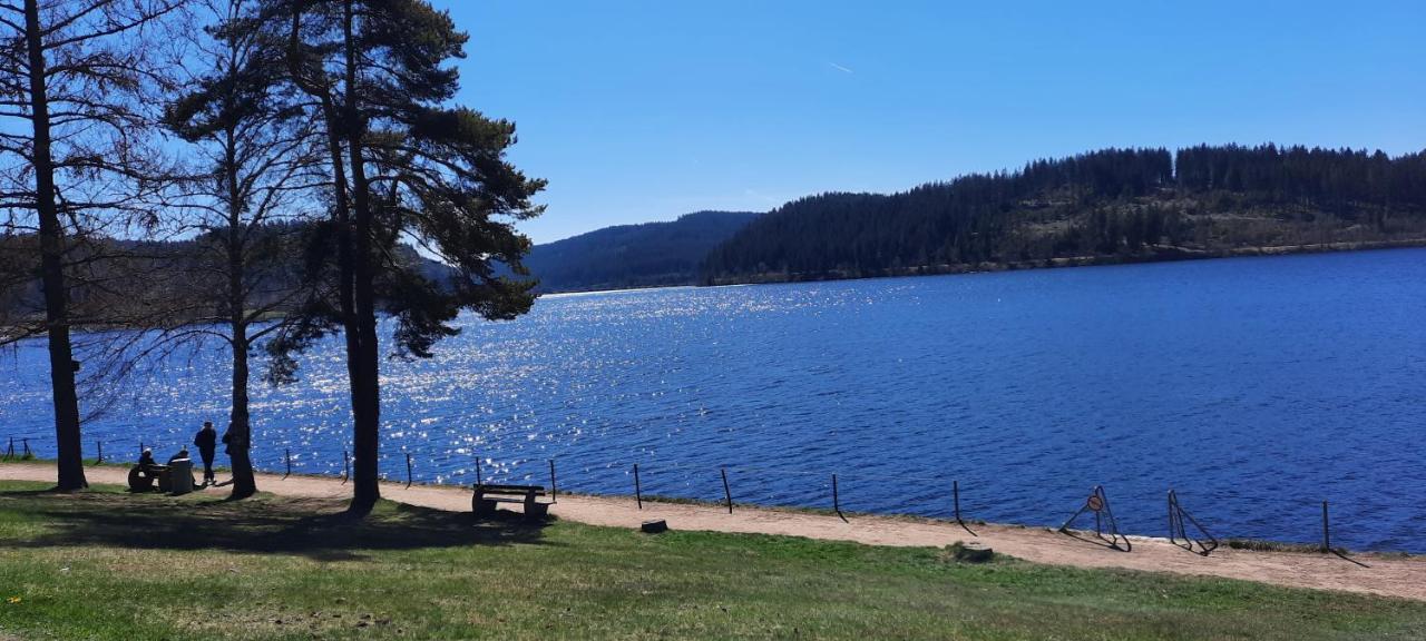 Ferienwohnung Seelust Schluchsee Bagian luar foto