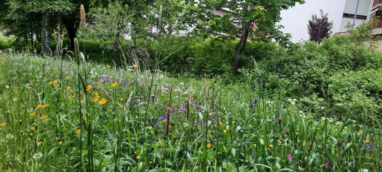 Ferienwohnung Seelust Schluchsee Bagian luar foto